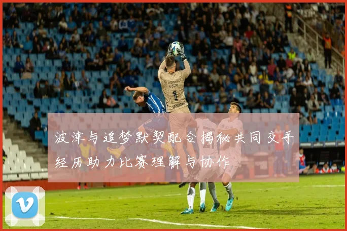 波津与追梦默契配合揭秘共同交手经历助力比赛理解与协作